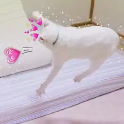 换上这些情头你就是我的人啦