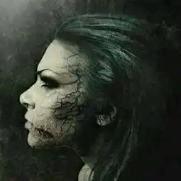 测试一个超长简介的文章