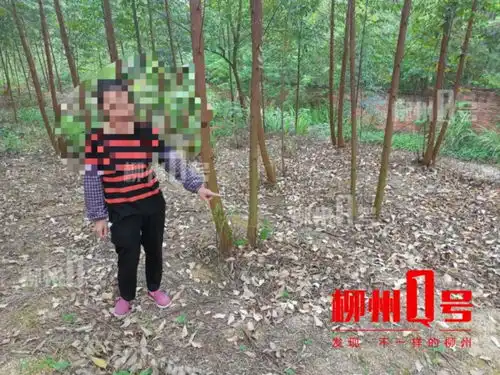 辣眼晴一树林里有人做龌龊事现场抓获12男2女
