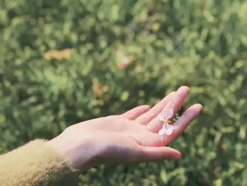 人像三要素人美人美人美才不是