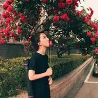 测试一个超长简介的文章