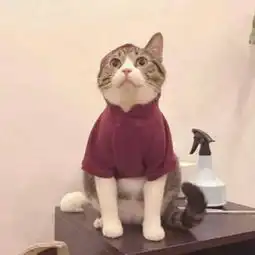 卡叽mua的微博微博