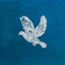 magiccoldplay单曲网易云音乐