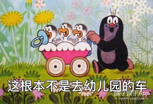 从同事到恋人,男方求婚失败就换女方求婚,这对情侣也超甜