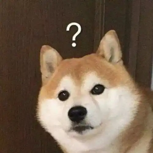 终于,我还是把自己绿了