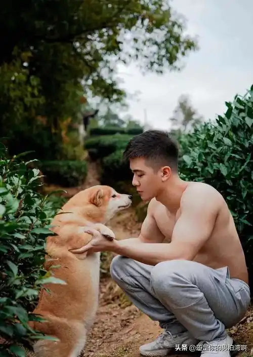 男人与柯基,孤独与相伴