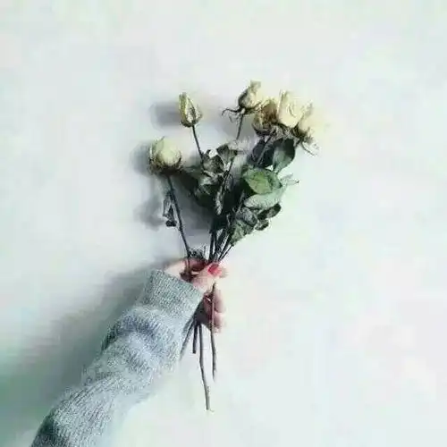 二三事2