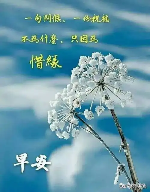 努力是一种生活态度,和年龄无关,早安