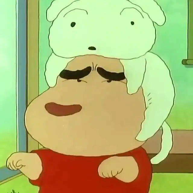 蜡笔小新小新真的好可爱啊,把小白放头上