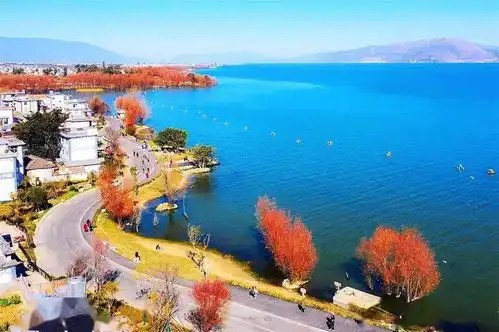 荣获2021年la风景园林奖生态贡献奖洱海生态廊道凭什么