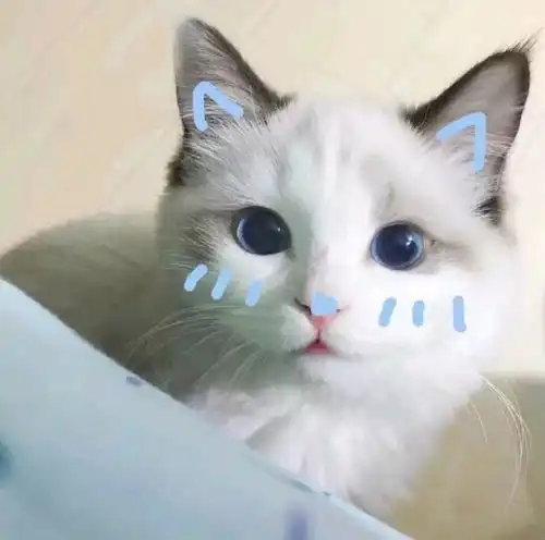 风靡铲屎圈的生骨肉喂养,你真的了解吗