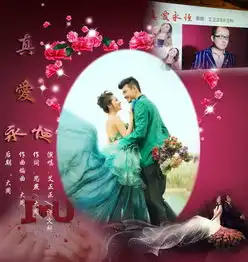 真爱永恒艾正正许文科已上架全国ktv