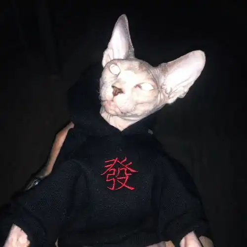 头像别人搞定男朋友靠撒娇你靠威胁