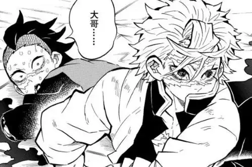 鬼灭之刃公式书岩柱才是cp粉头,磕过柱里的三对cp,只成了一对