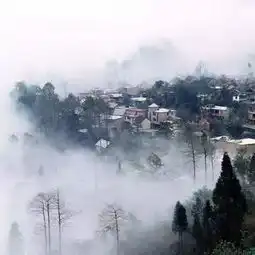 这样拍水墨中国风格摄影,真的是极致的意境