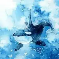 蓝鲸插画图片唯美手绘唯美星空蓝鲸插画图片