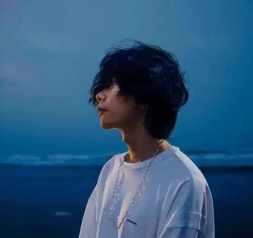 测试一个超长简介的文章