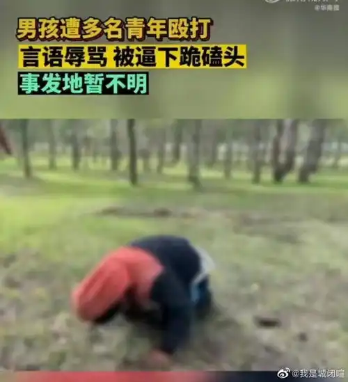 男孩在树林被霸凌河北沽源县是7月的事被打者没事