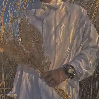 测试一个超长简介的文章