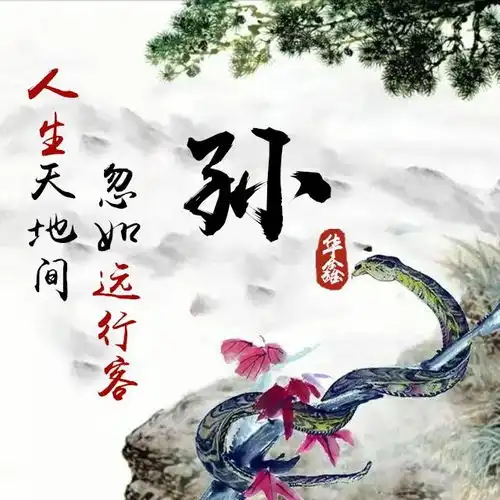 十二生肖版微信头像姓氏头像,中国风水墨风格,你喜欢哪一个