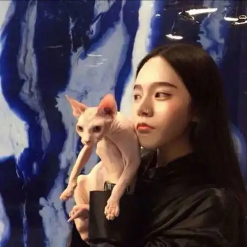 偏爱