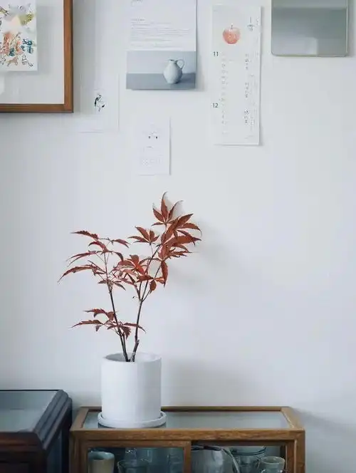 花点心思,家就能成为一处理想花园