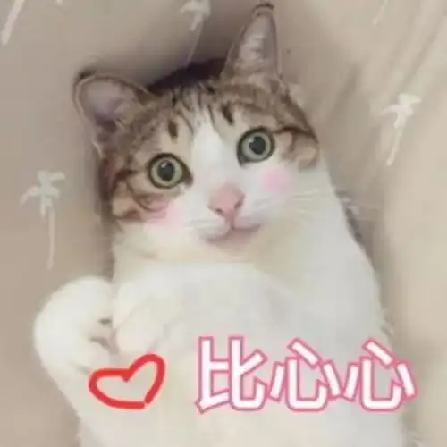 100张超甜的情侣头像,换上它每天都是情人节