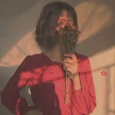 测试一个超长简介的文章