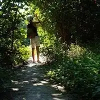 求一头像男的低着头背景是绿的就这些谢谢