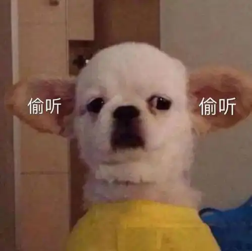 如果被绿的是蒋凡罗志祥屈楚萧,这出戏可就太精彩了