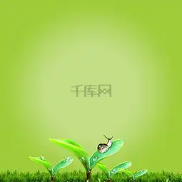 绿色蜗牛素材背景图片免费下载主图直通车psd千库网图片编号319390