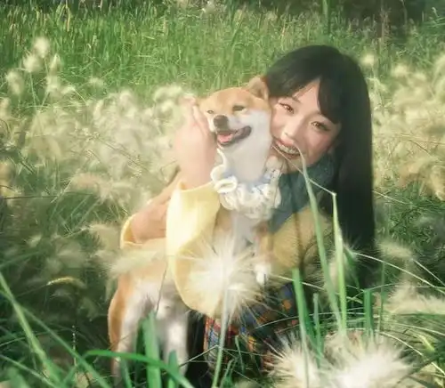 测试一个超长简介的文章