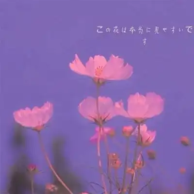 澳门京沙官网官网中国官方网站ios安卓通用版手机app下载