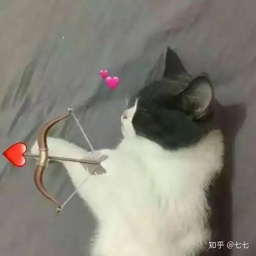 有哪些好看的情侣头像