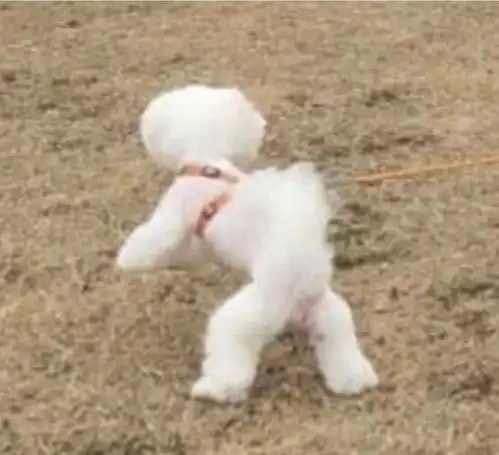 头像有趣的灵魂谁不喜欢呢