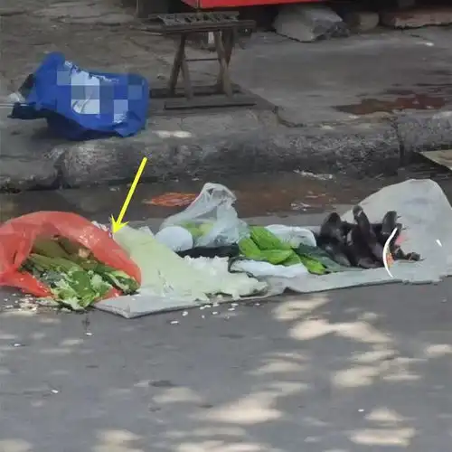 山东一大爷占道摆摊卖菜,被过路车压到要20,男子不赔被指责小气