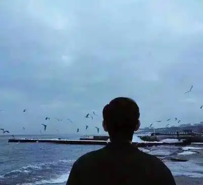 测试一个超长简介的文章