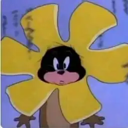 梨笙ovo的微博微博