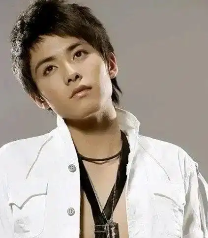 2006年加油好男儿这档综艺节目大家记得吧,我对马天宇印象深刻