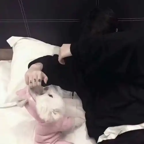 男生头像崩溃的一瞬间,是因为触碰了心弦