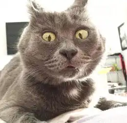 经常收快递的大竹人注意了如果看到这样的信息,千万别理