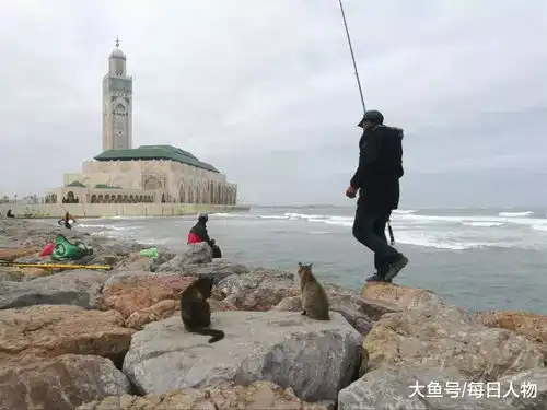 全世界最爱看着大海发呆的人,都去了哪里