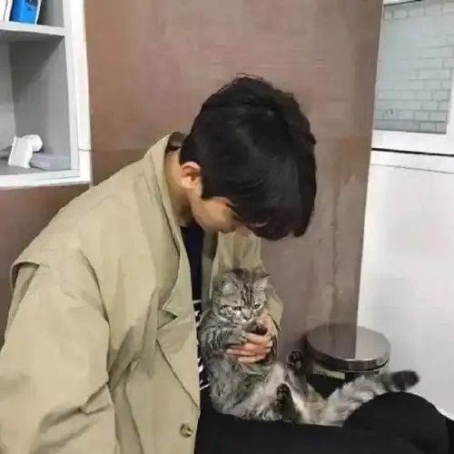 男孩子的猫狗112
