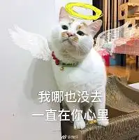 楼楼走了,他的表情包你还用吗