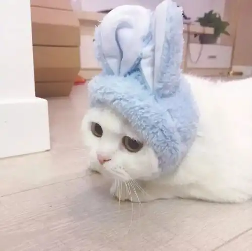 情侣头像我喜欢你,是我独家的记忆