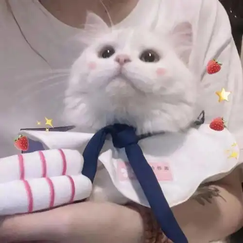 换上情侣头像,你就是我的人了