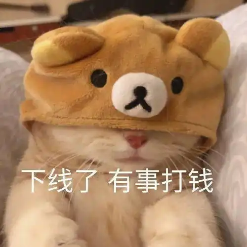 4款超适合夏天的短发发型来了,清爽好看还显脸小