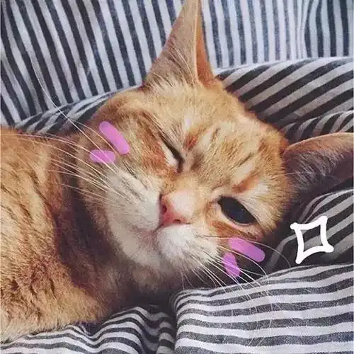 心语男生最想撩的五种女生头像