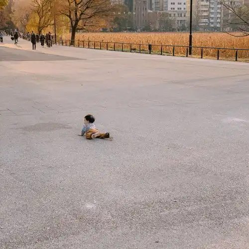 背景图你要忘记过去种的花,去爱有结果的树