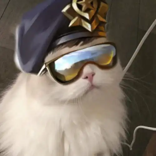 王者小猫头像,你要抱哪个回家